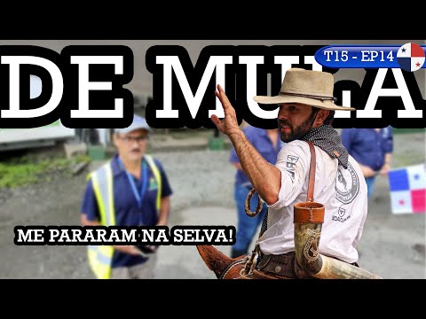 They asked me for documents and I had nothing.