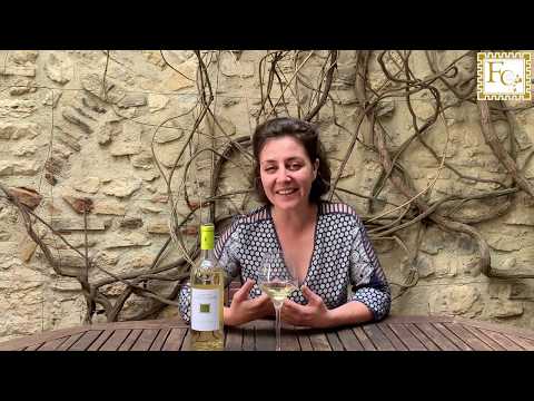 Dégustation commentée du Grenache Blanc 2019