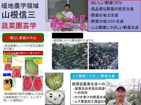 【フィールド科学コース】教員紹介（蔬菜園芸学・山根先生）