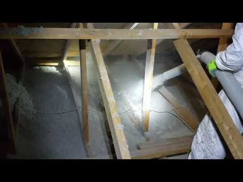 Bats Leave a Mess & We Clean Up & Insulate in Long Branch, NJ