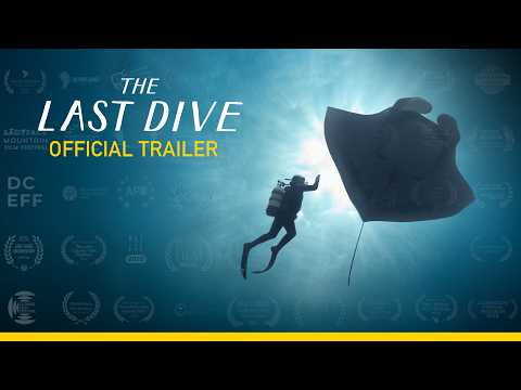 THE LAST DIVE | Official Trailer