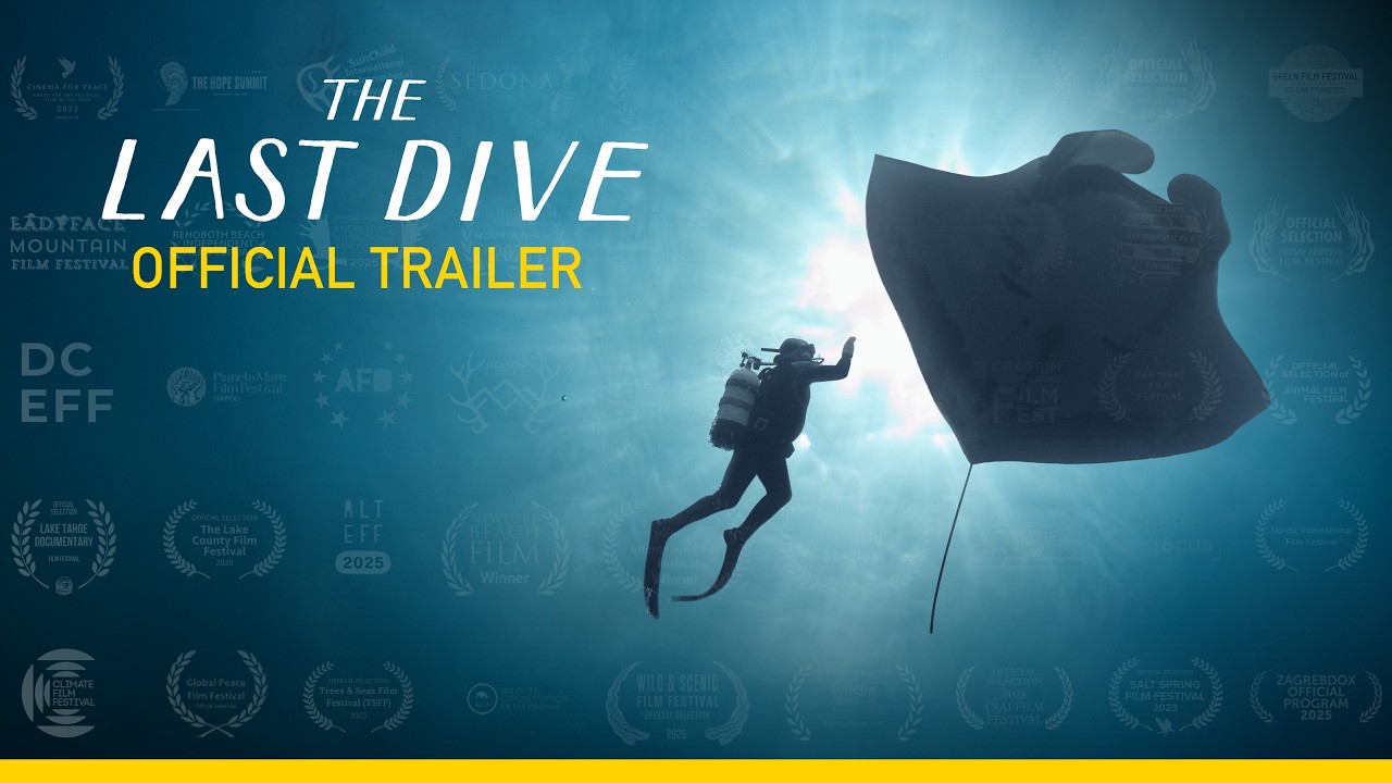 The Last Dive — Official Trailer
