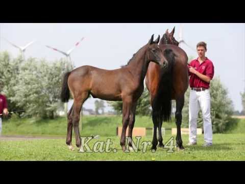 Katalog 04 - 2. Internat  Fohlenauktion 2014 der Hengststation Hell und des Stalles Björn Nagel