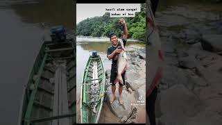 Download lagu patin sungai bahau ni bosku #kaltara #kalbar #balapperahu #kalteng #kaltim #perahunaga #juliuslogan mp3