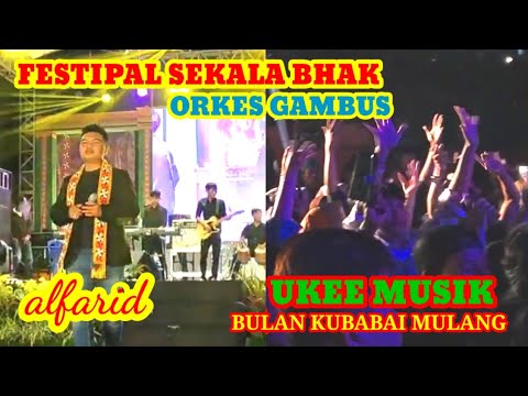 FESTIPAL SEKALA BHAK ORKES GAMBUS LAMPUNG UKEE MUSIK - BULAN KU BABAI MULANG -ALFARID #wirchannel