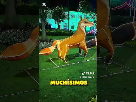 Visitamos el alumbrado de Tocancipa Cundinamarca y esta genial #shorts