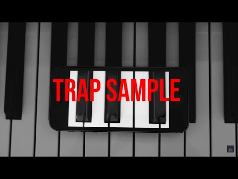 [TRAP SAMPLE PACK] PAD Loop 146BPM/Royalty Free