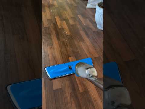 Spray mop (2 pad)