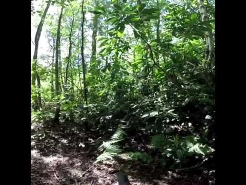 Mk23 attack. In & out