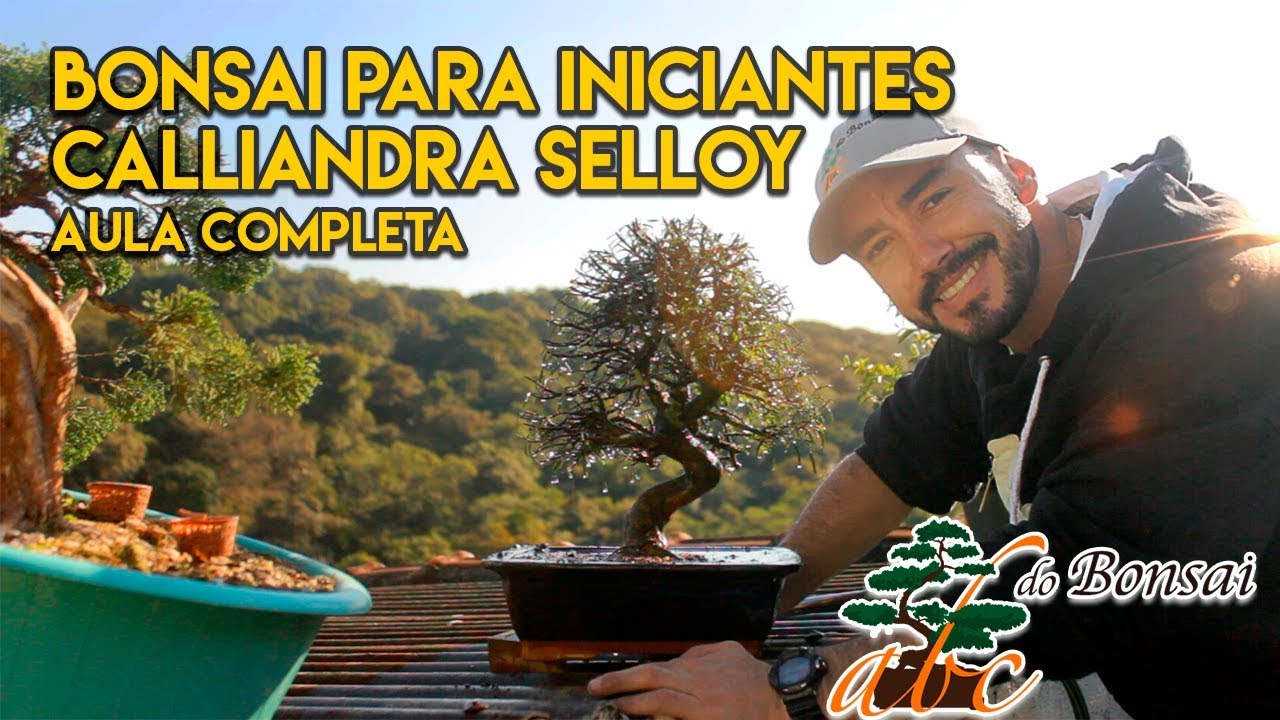 BONSAI PARA INICIANTES | AULA COMPLETA | CALLIANDRA SELLOY