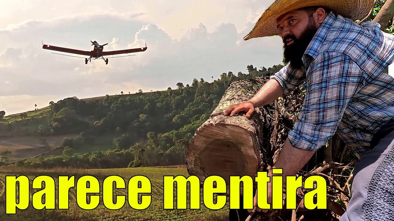 um avião ficou rondando o rancho, tirando as arvores que o vento derrubou na roça
