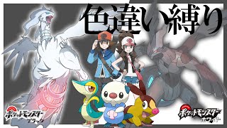 新・BWで色違い縛りの旅  -100日目- 色違いテラキオン【ポケモンBW】