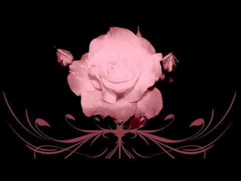 Andromeda Draco - Andromeda Draco - Obsession