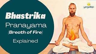 How to Perform Bhastrika Bellows Breath Pranayama Class | 14 min