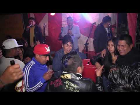 ▶ PASE LO QUE PASE ▶ EL GATO FELIX NAVARRO & SOMBRA AZUL ▶ FELIZ CUMPLEAÑOS FELIX  (25/07/2021)