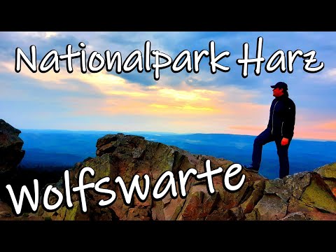 Wanderung zur Wolfswarte im Nationalpark Harz - Sonnenuntergang & Stempel 135 der Harzer Wandernadel