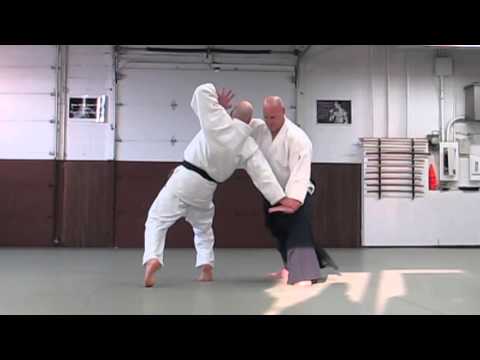 Aikido Seiryukan Demonstration - 30 Jan 2016 Kagami Biraki   Sendokan