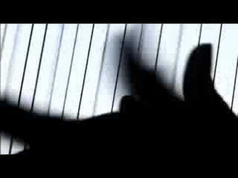 METRALLETA de Belén Orsini