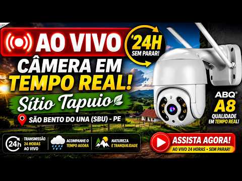 📍 Sítio Tapuio - São Bento do Una 🌿 | Câmera em Tempo Real 24 Horas
