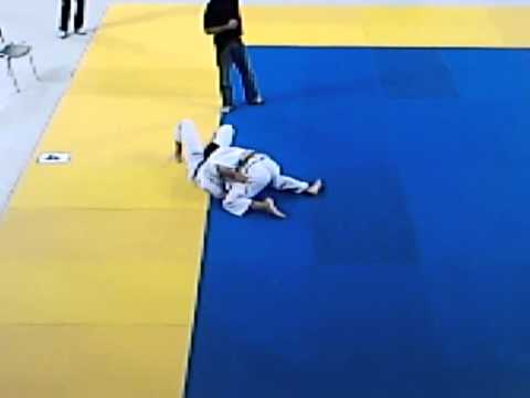 BRAZILIAN JIU JITSU       HERMES DIMITROPOULOS