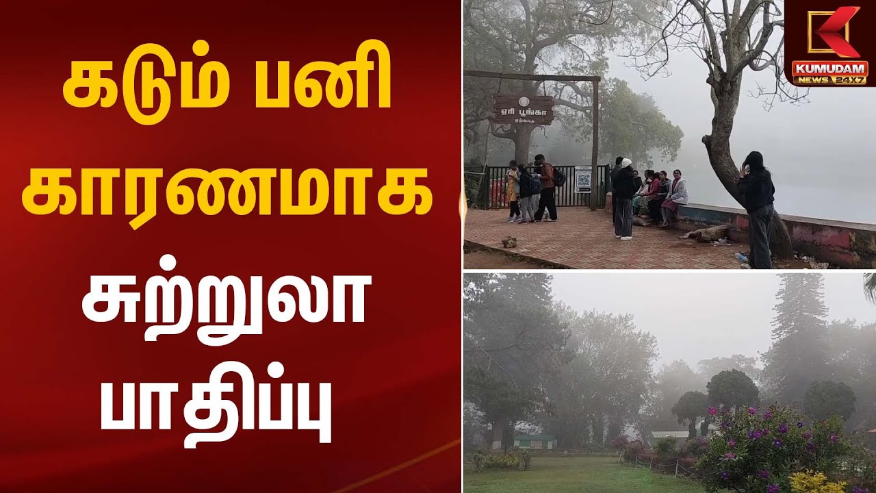 Dense Fog | Tourism Affected | கடும் பனி காரணமாக சுற்றுலா பாதிப்பு | Kumudam News