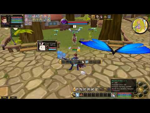 PERFECT PET vs MEGA PET GUIDE on Insanity Flyff tutorial series