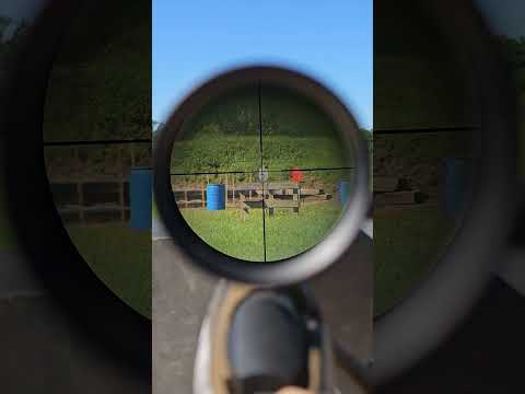 Sig Sauer Buckmaster 3-12X44mm riflescope