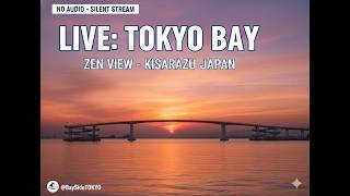 2026/08/14 00:49 LIVE: Tokyo Bay Zen View - Kisarazu, Japan （東京湾ライブ・木更津） live webcam