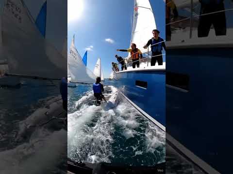 Race Collision! 6 Sailboats Crash in Epic Sailing Chaos 🌊💥 #sailinglife #sailboat #oceanadventure