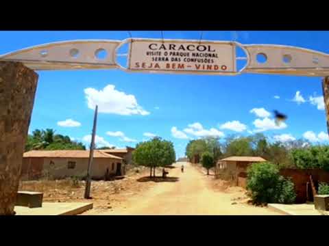 CARACOL (PI)