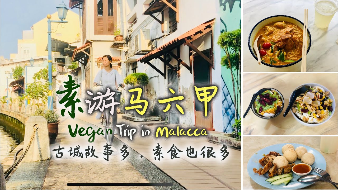 素游马六甲，古城不只故事多，素食也很多 | Vegan Trip in Malacca