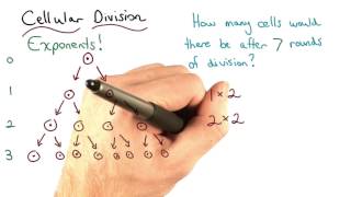 Cellular Division - Visualizing Algebra