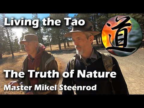 Traditional Taoists learn directly from Nature. You can too, with help from History. #spirituality