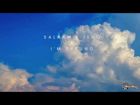 Salaam E Ishq X I'm Sprung - DJ Moiz