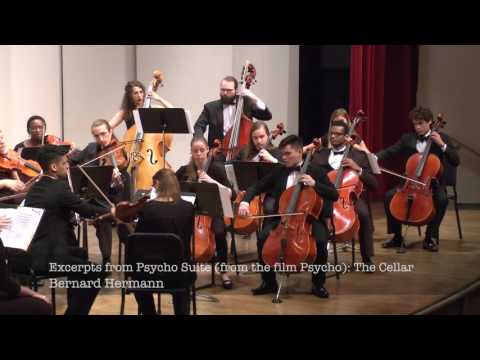Nadja Salerno-Sonnenberg with the Loyola Chamber Orchestra