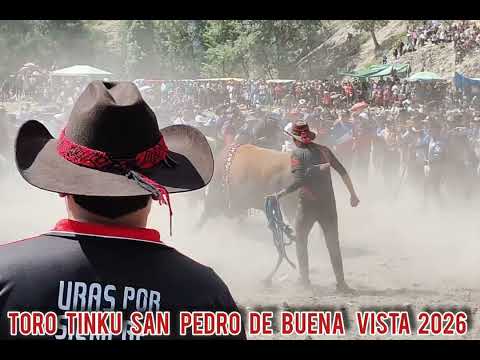 TORO TINKU SAN PEDRO DE BUENA VISTA 2026    FIESTAS    vs    WAYRONQO