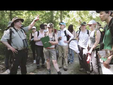 Studiengang Umweltschutz - Rheinauen-Exkursion 2017