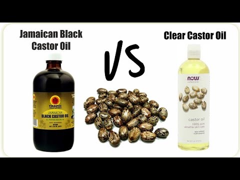 4 Differences between Jamaican Black Castor Oil and...