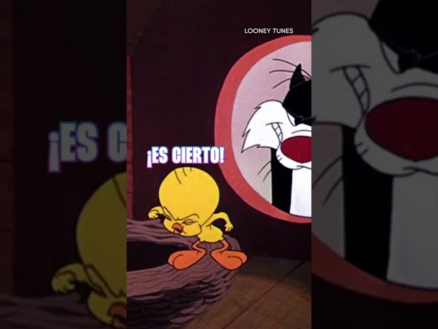Vídeo relacionado con Looney Tunes Tweety Sweet Little Innocent Me Camiseta Cuello V