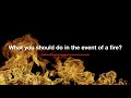 What to do in the event of a fire
