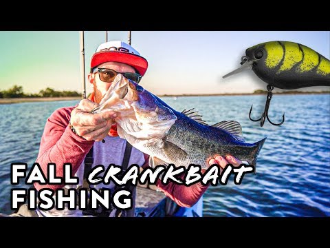 Fishing Squarebill Crankbaits In The Fall for BIG BASS!