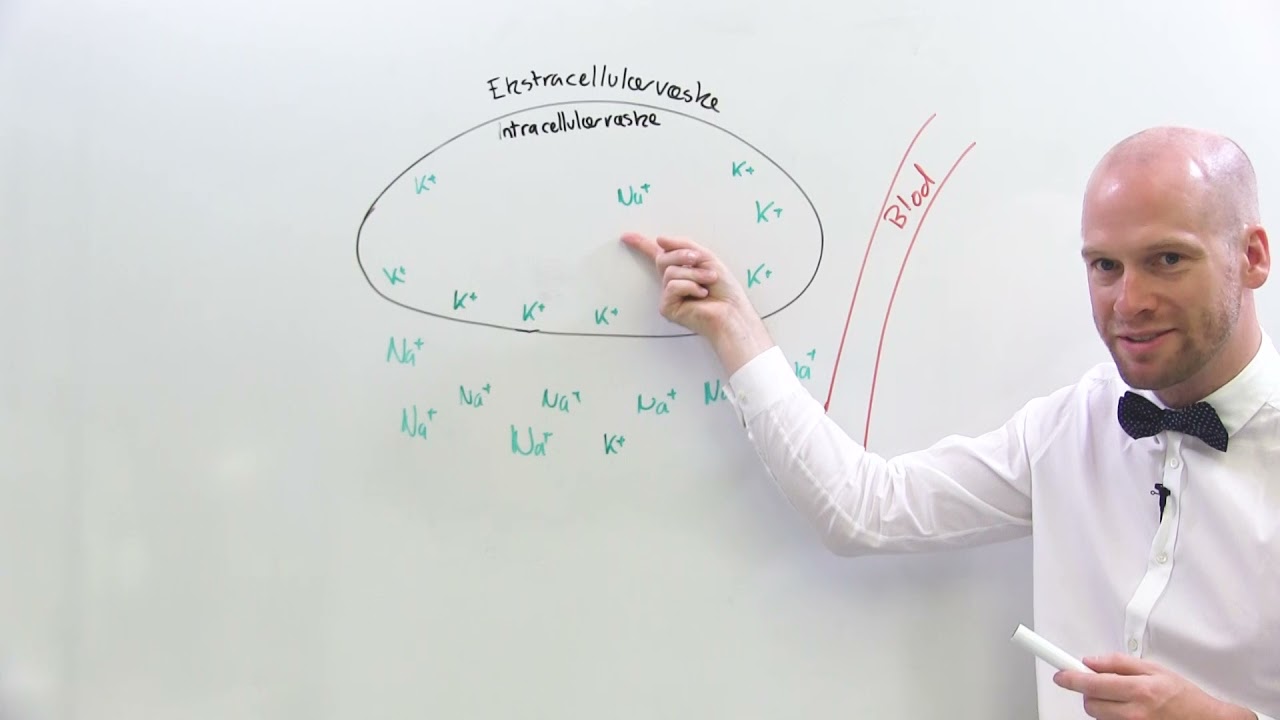 Væskebalanse og elektrolytter