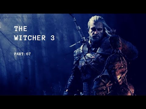 Lets play The Witcher 3 Wild Hunt Part 67: Wir haben es vor die Tore Novigrads geschafft