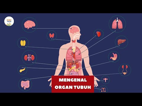 Thumbnail Highlight Workshop 1