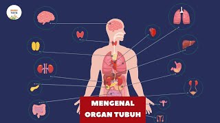 Download lagu Getting to Know the Human Body Organs and Their Functions | Children's Learning Education Videos mp3 Download lagu Getting to Know the Human Body Organs and Their Functions | Children's Learning Education Videos mp3