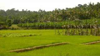 preview picture of video 'Rural Wayanad'