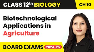 Biotechnological Applications in Agriculture | Class 12 Biology Chapter 10 | CBSE 2024-25