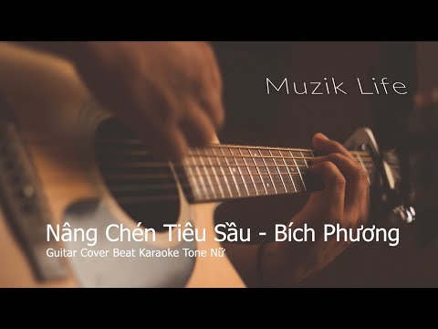 Nâng Chén Tiêu Sầu - Bích Phương guitar karaoke beat cover (tone nữ)