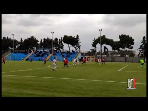 PARTITA FOGGIA INCEDIT - BITRITTO 18 3 2022 TG TELEFOGGIA