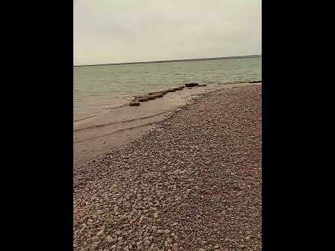 lago pelegrini cinco saltos #rionegro